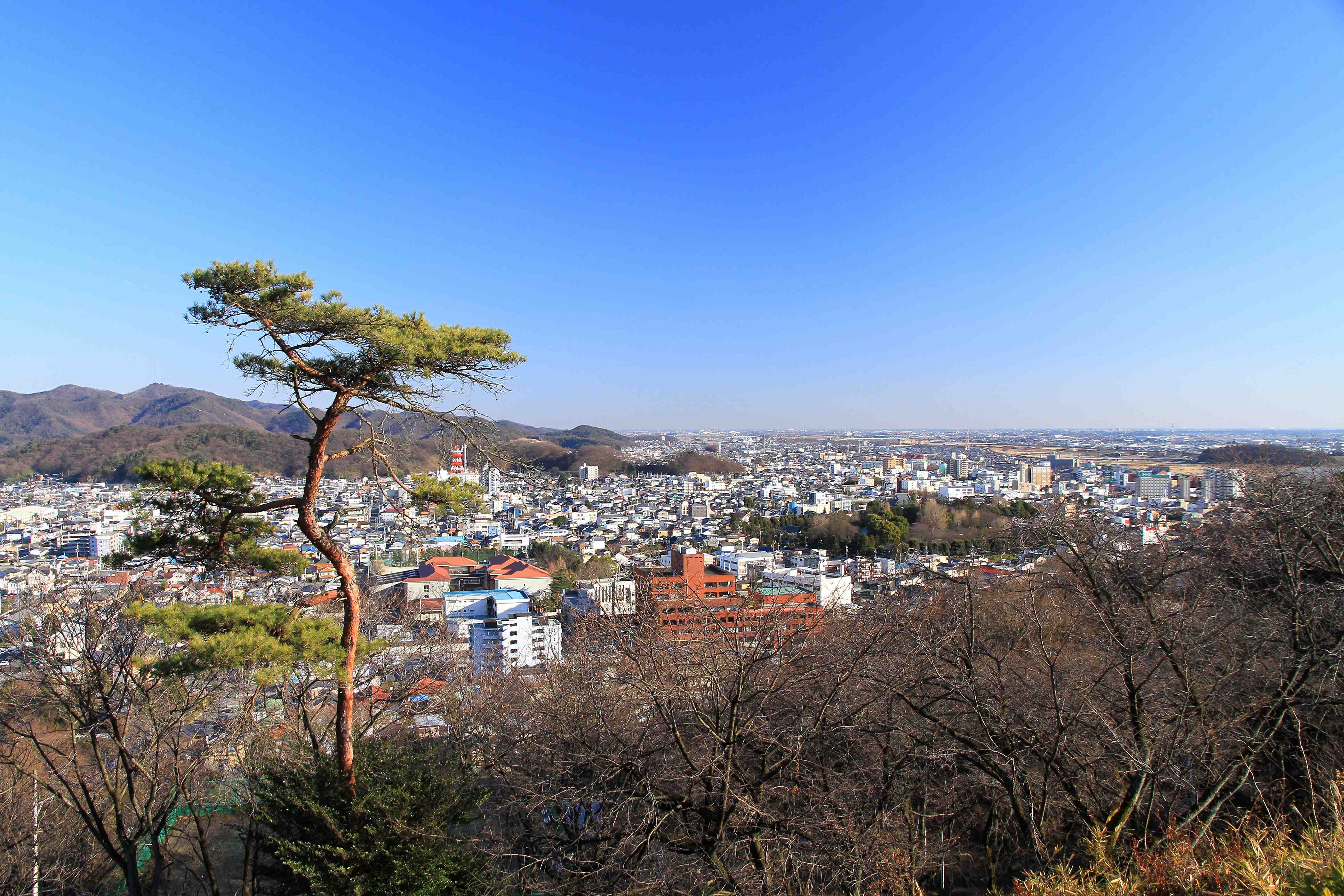 🏞️ 오리히메 공원(오리히메코엔) 이미지 3